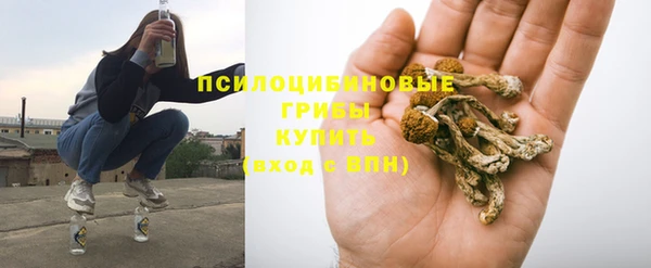 mdpv Арсеньев