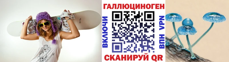 дарнет шоп  Минеральные Воды  Галлюциногенные грибы Magic Shrooms 